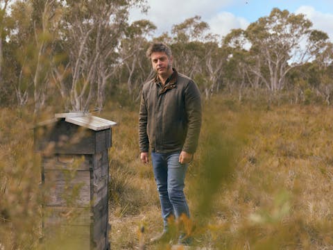 Wild Honey - Malfroy's Gold