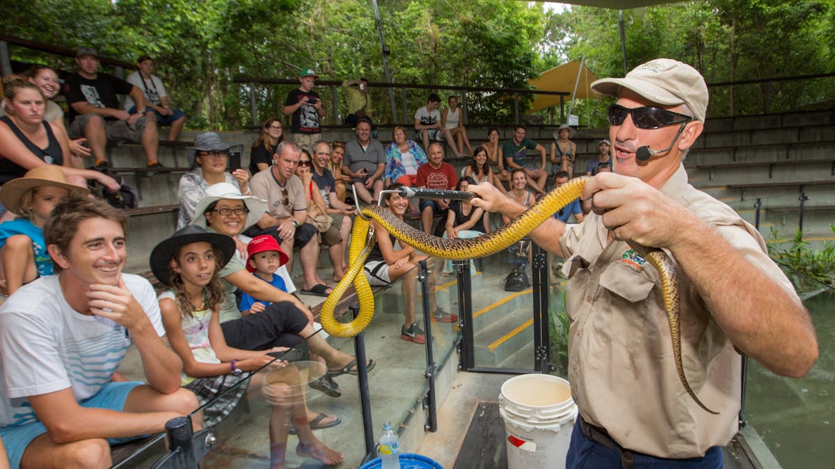 Snake Show Hartley's Crocodile Adventures