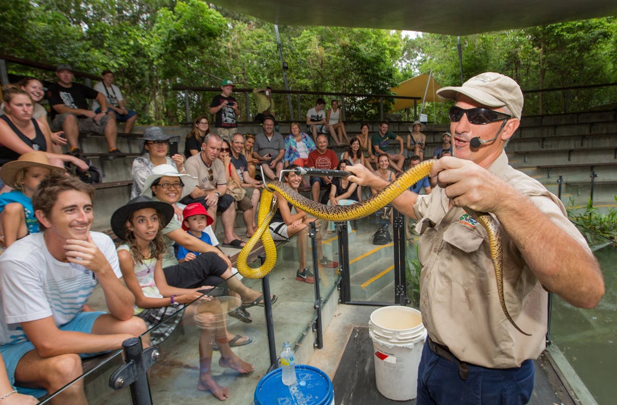 Snake Show Hartley's Crocodile Adventures