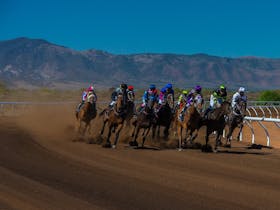 Thoroughbred Racing at the Port Augusta Racecourse