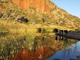 Special Interest MacDonald Ranges tours with Spirit Safaris