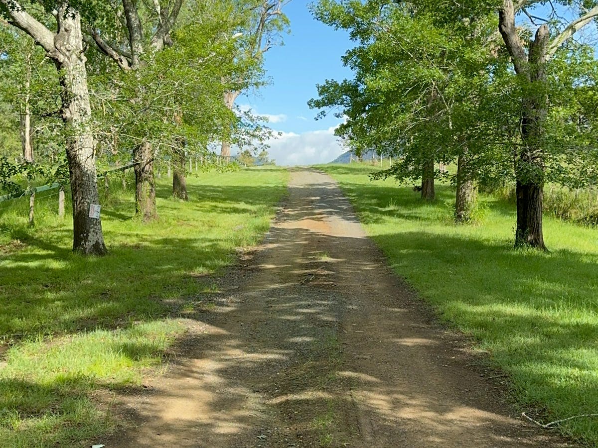 Driveway