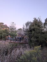 Festival at ErinEarth