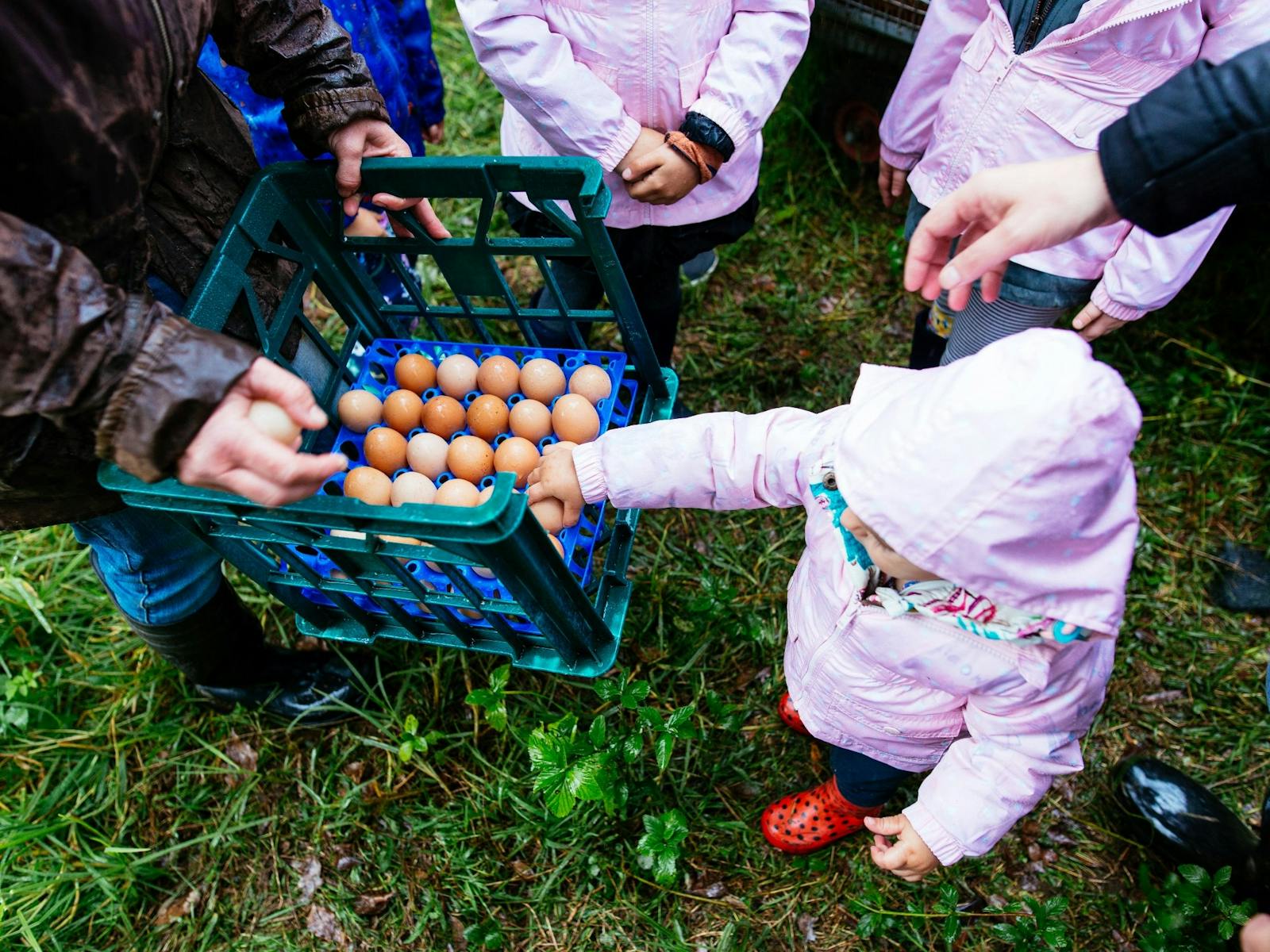 Image for Harvest Festival Central Coast