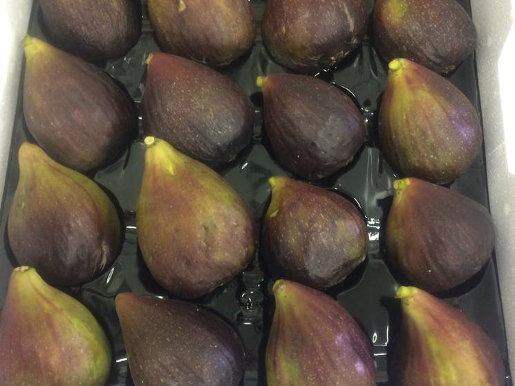 Ripe figs ready to sell.