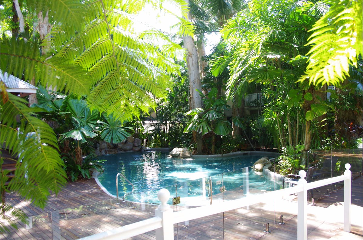Heated Lagoon Pool Palm Cove Tropic Apartments