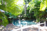 Heated Lagoon Pool Palm Cove Tropic Apartments