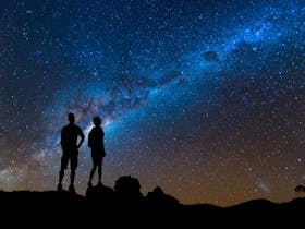 Arkaroola night sky