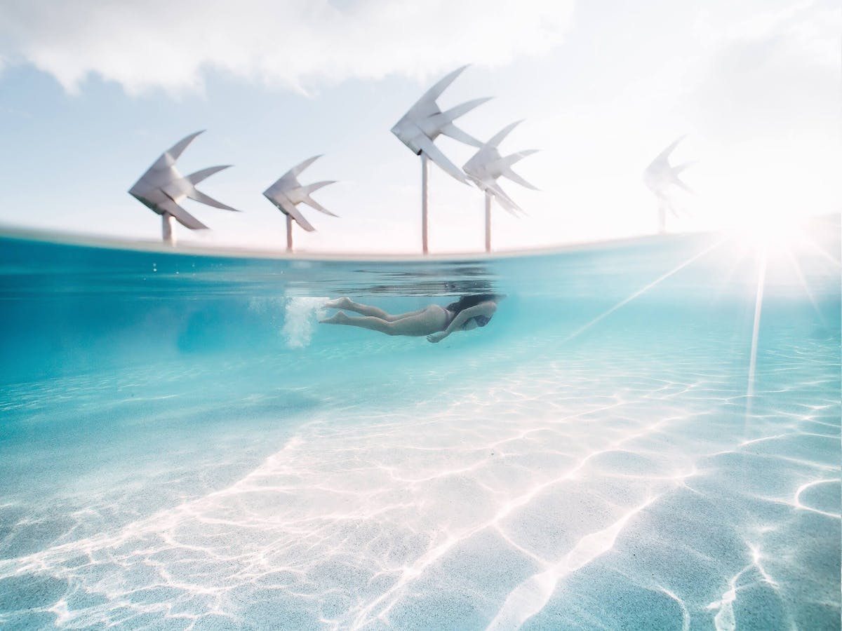 Cairns Lagoon