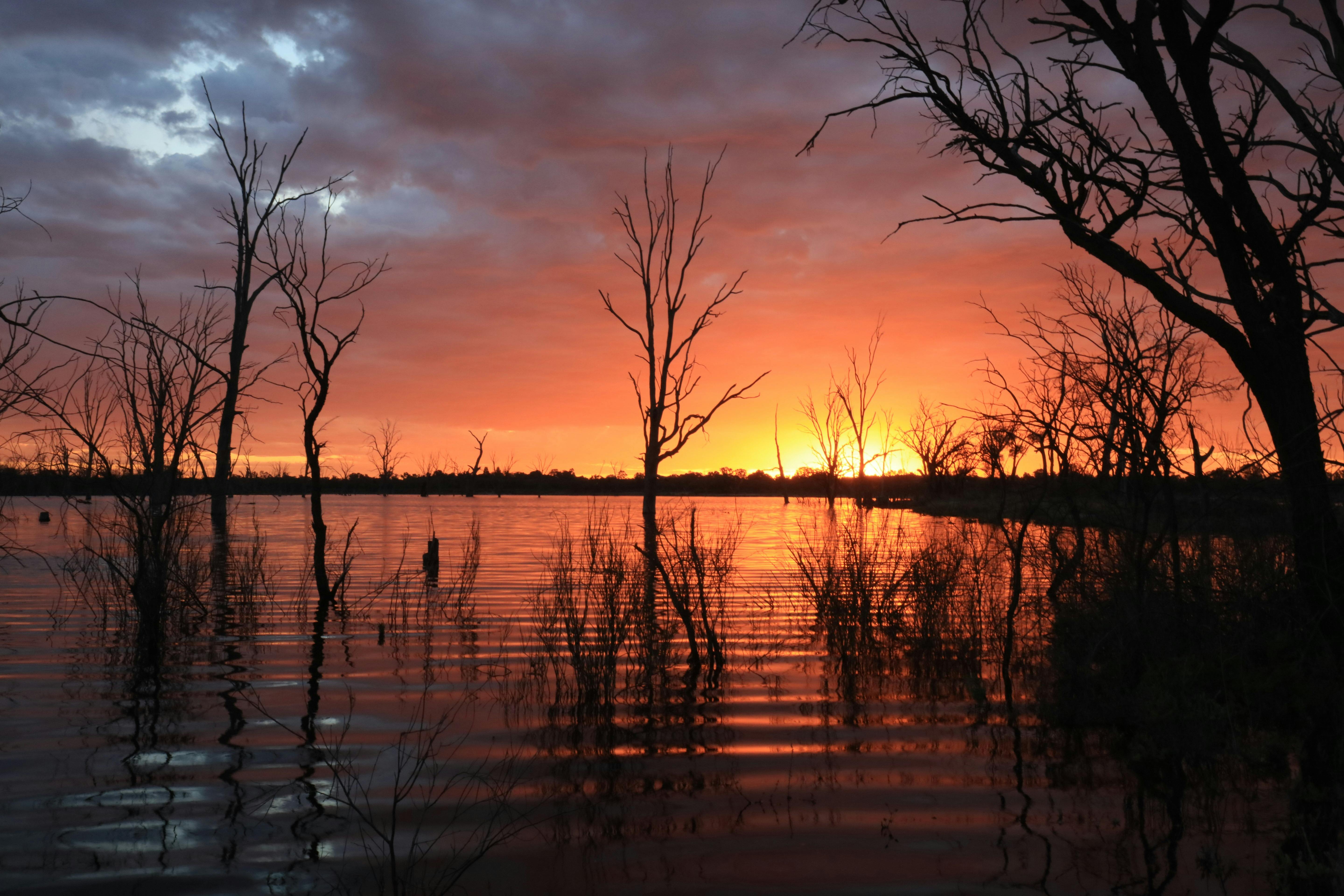 Twilight Paddle and Campfire Dinner Experience