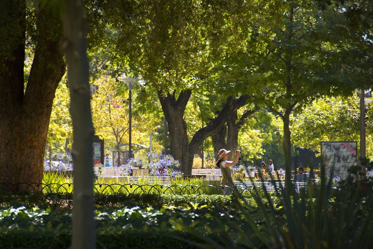 Classic Adelaide - Culture and Heritage Morning or Afternoon Walking Tour