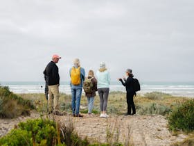 Tour guide and small group at a look out
