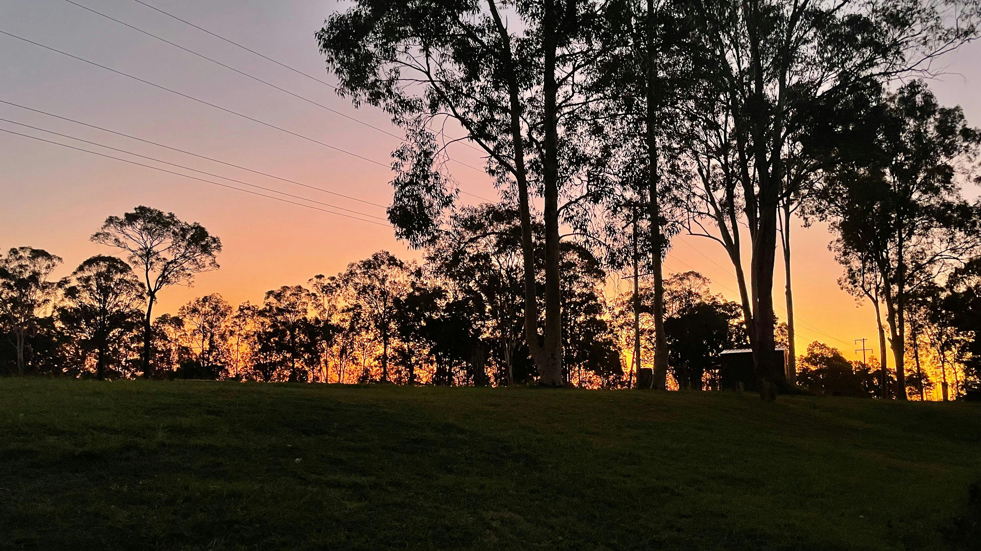 Eeyore And Snore Hunter Valley