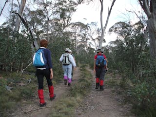 Gippsland High Country Tours