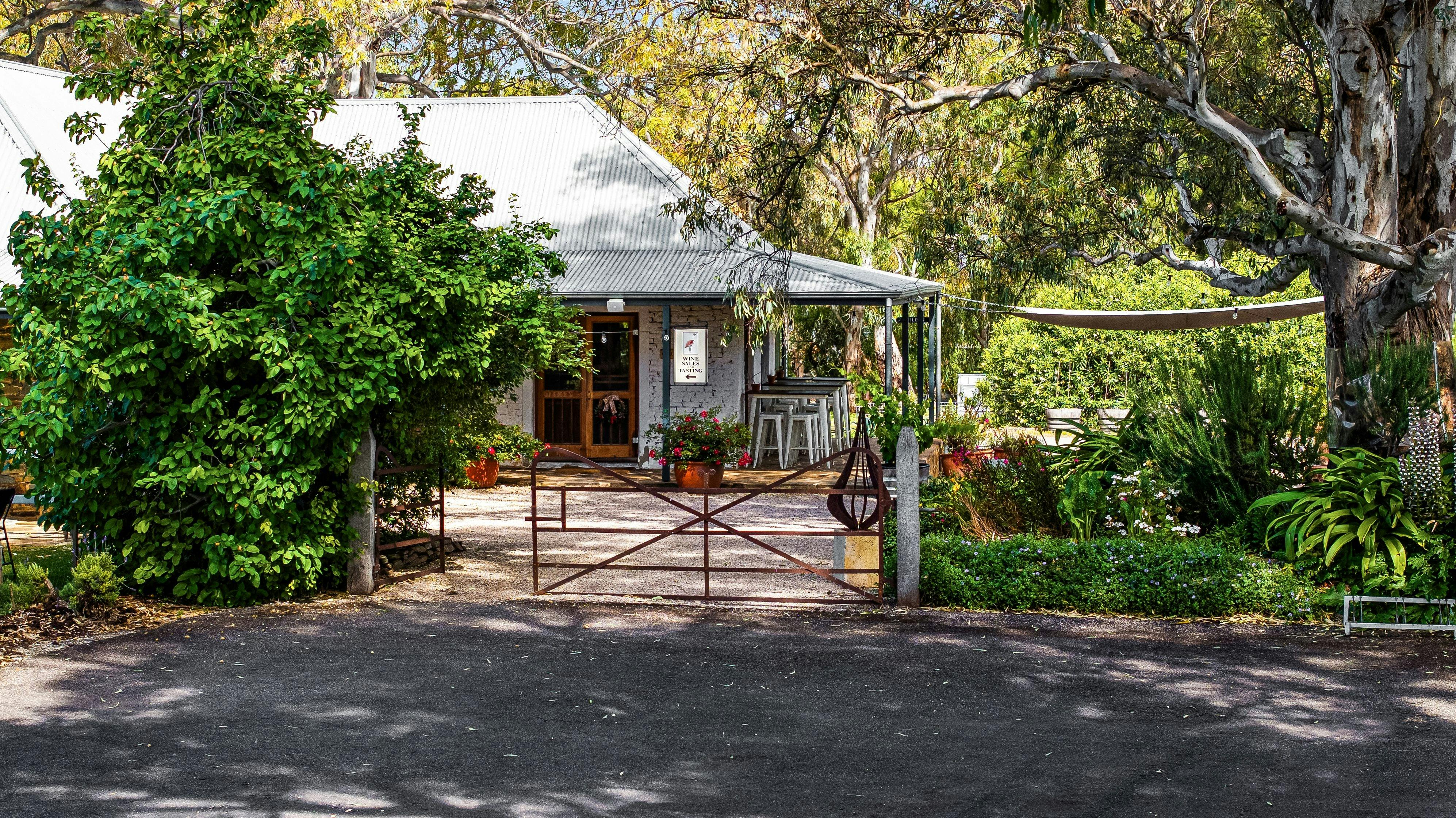 Vine to Wine Tour - Turkey Flat Vineyards