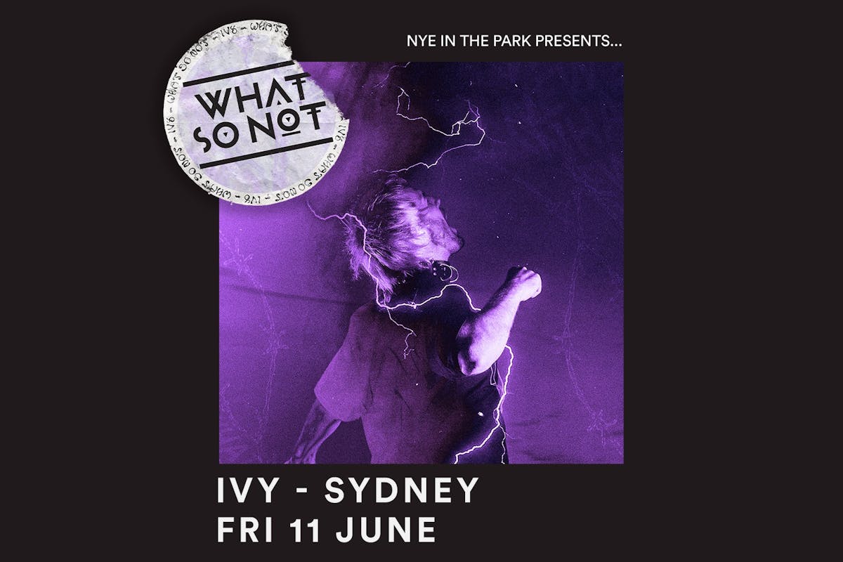 artist fist pumping the air - copy says WHAT SO NOT Ivy Sydney Friday 11 June