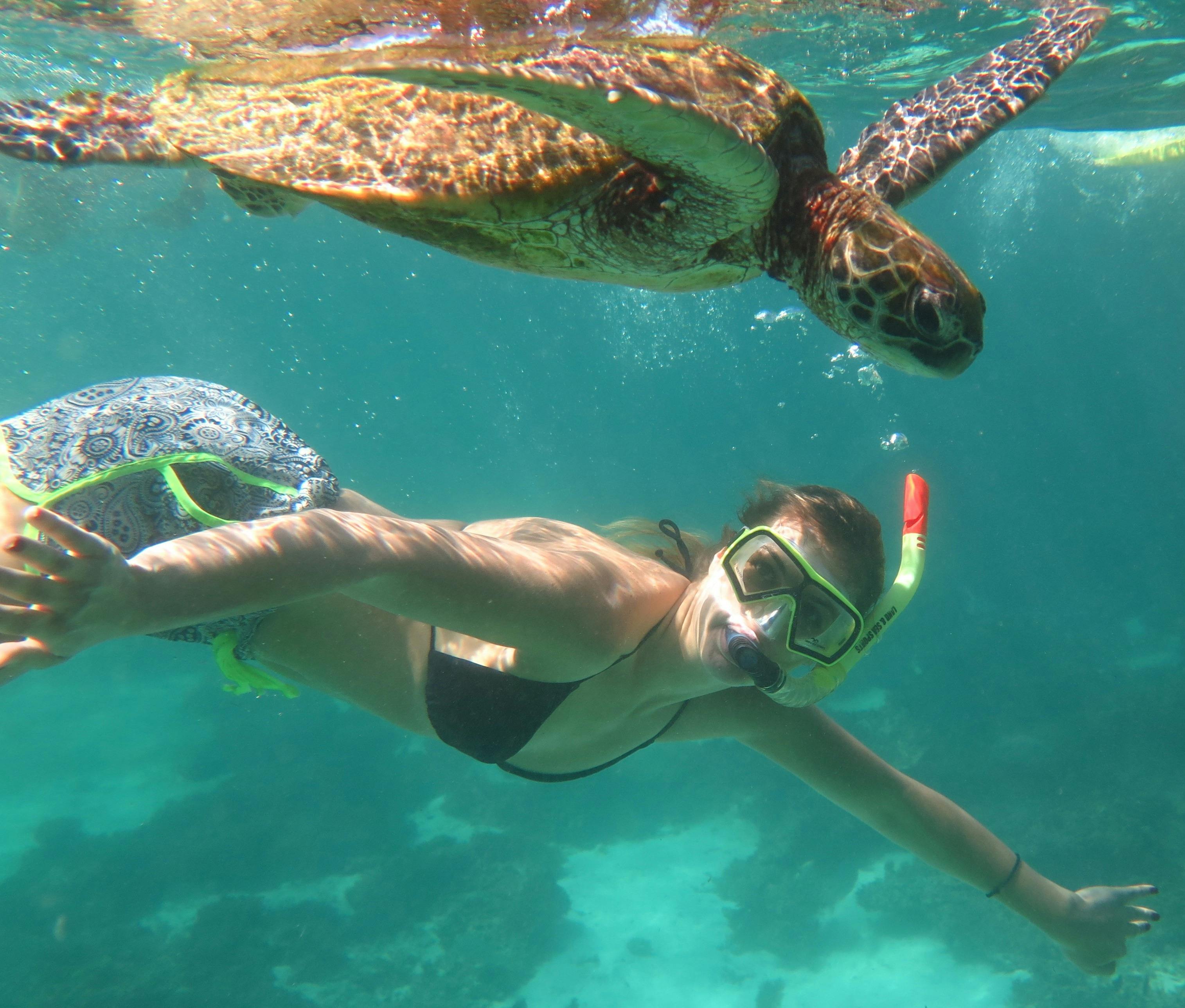 Coral Coast Tours