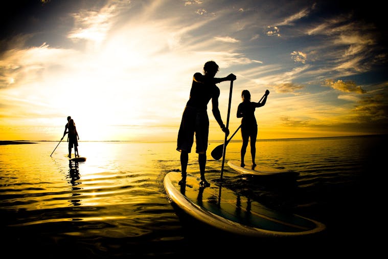 Xtreme Kites Paddle
