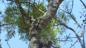 Tucki Tucki Nature Reserve