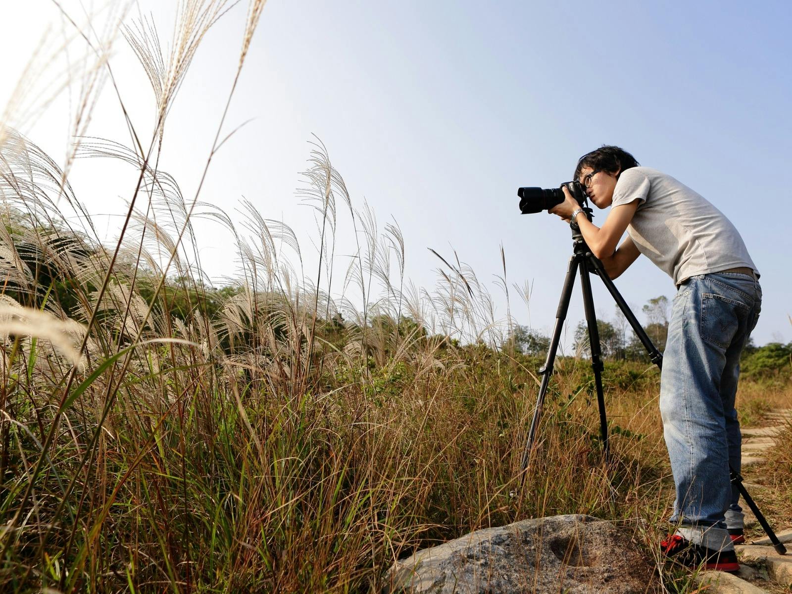 Person with camera in a field of reeds