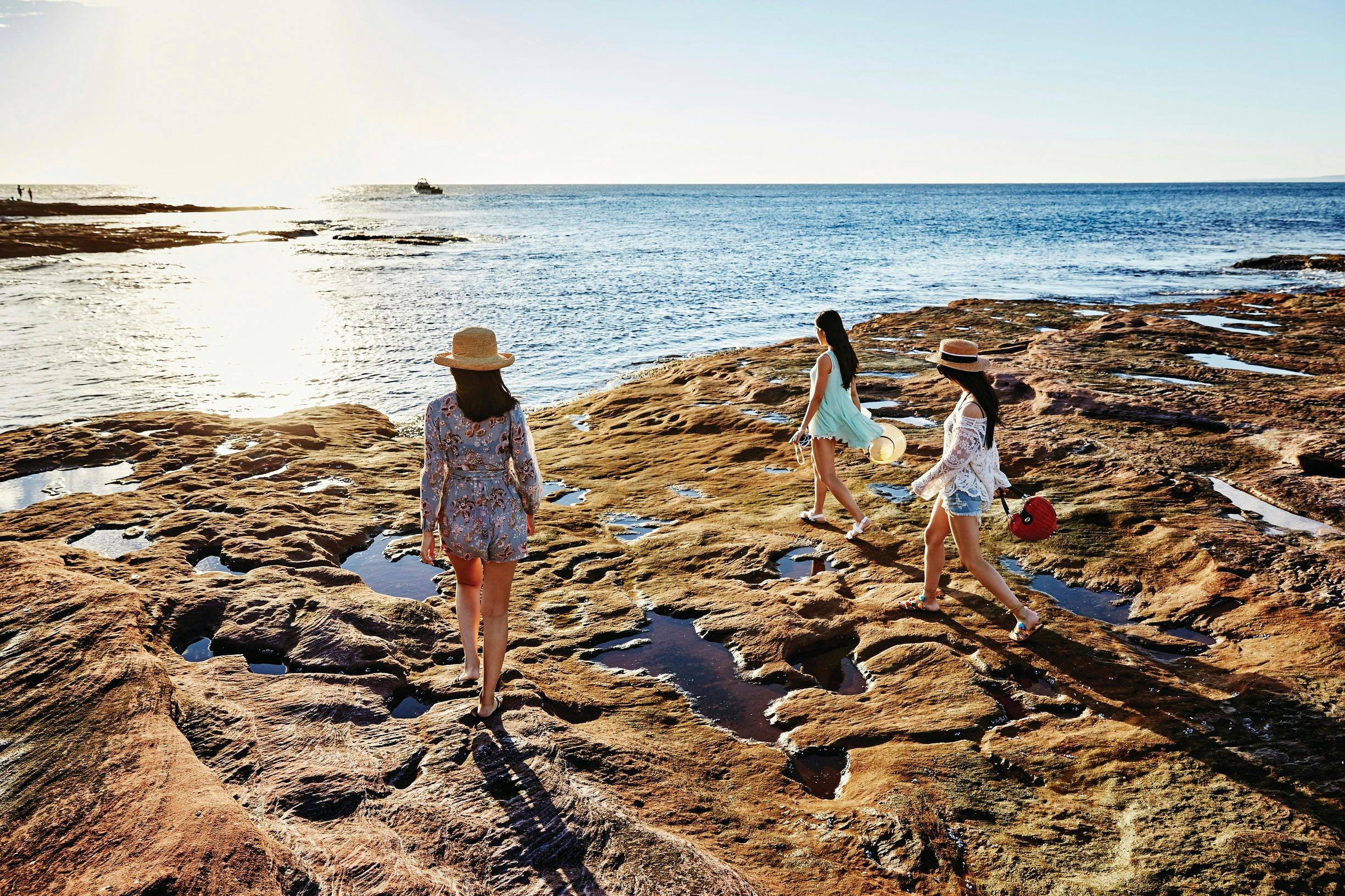 Coral Coast Wildlife, Kalbarri, Western Australia