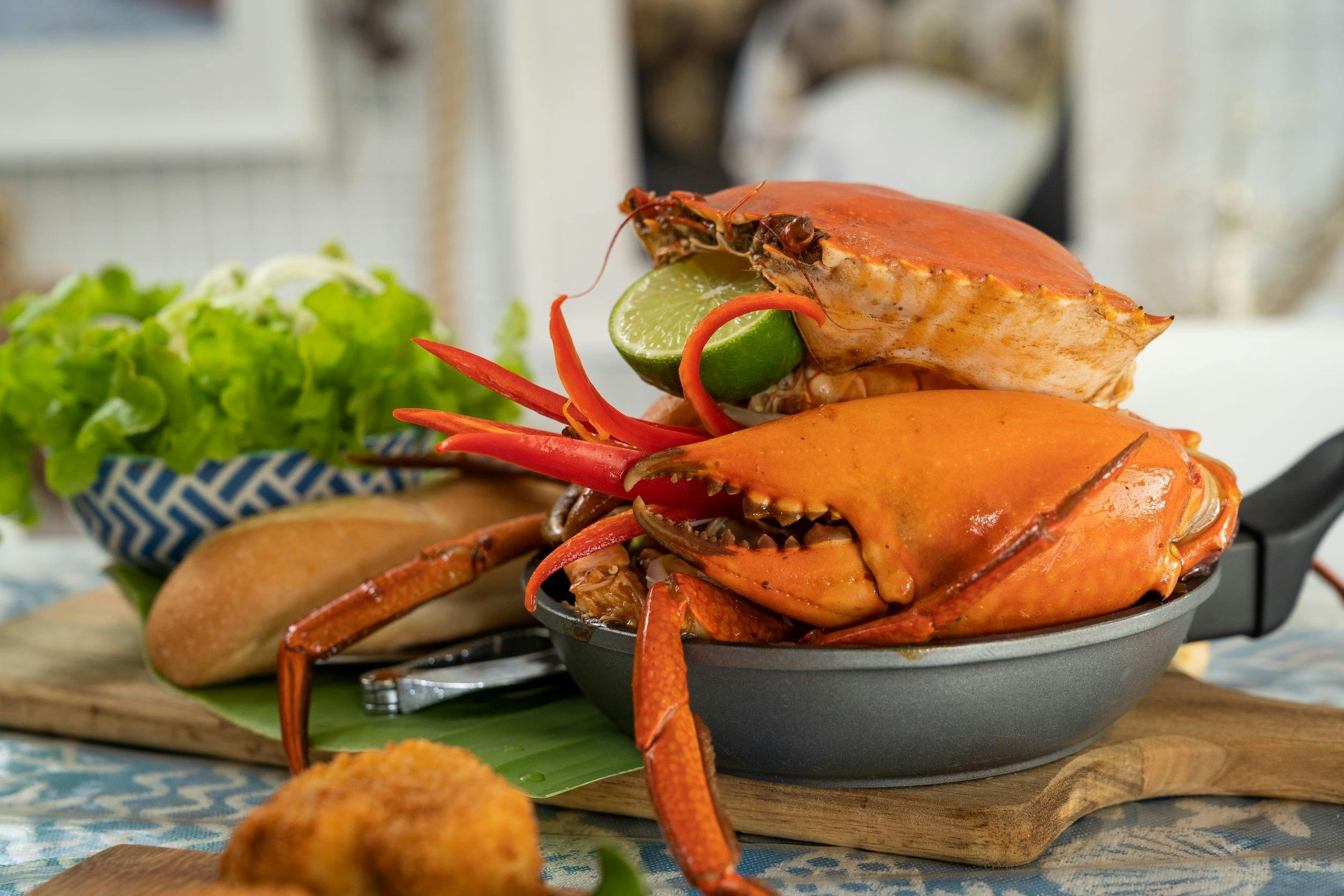 Taste Capricorn Coast