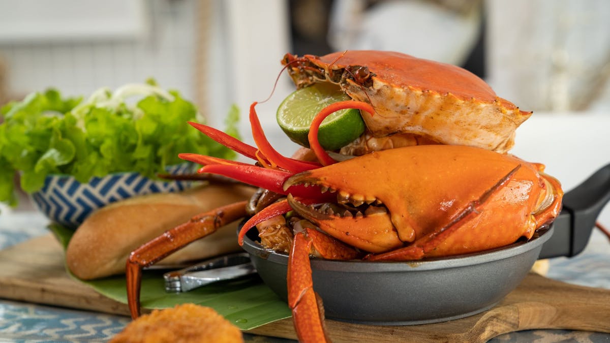 Taste Capricorn Coast