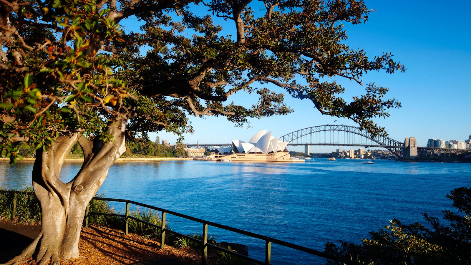 Royal Botanic Garden and the Domain