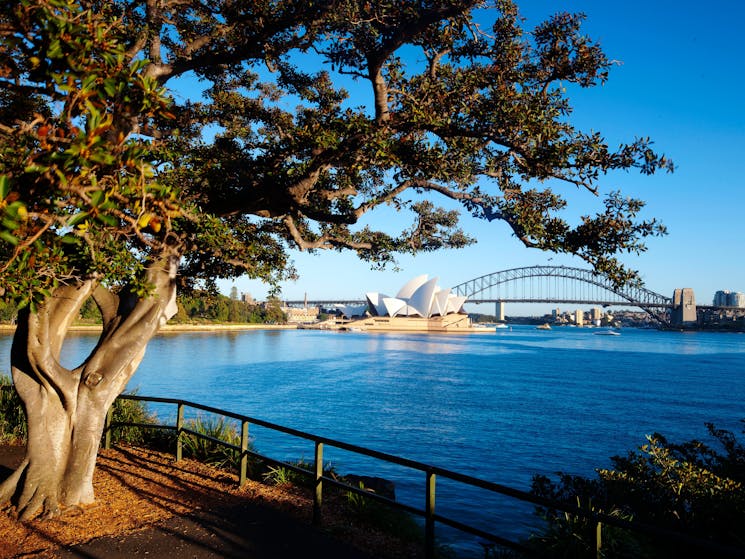 ロイヤル植物園とドメイン オーストラリア シドニー Sydney Com