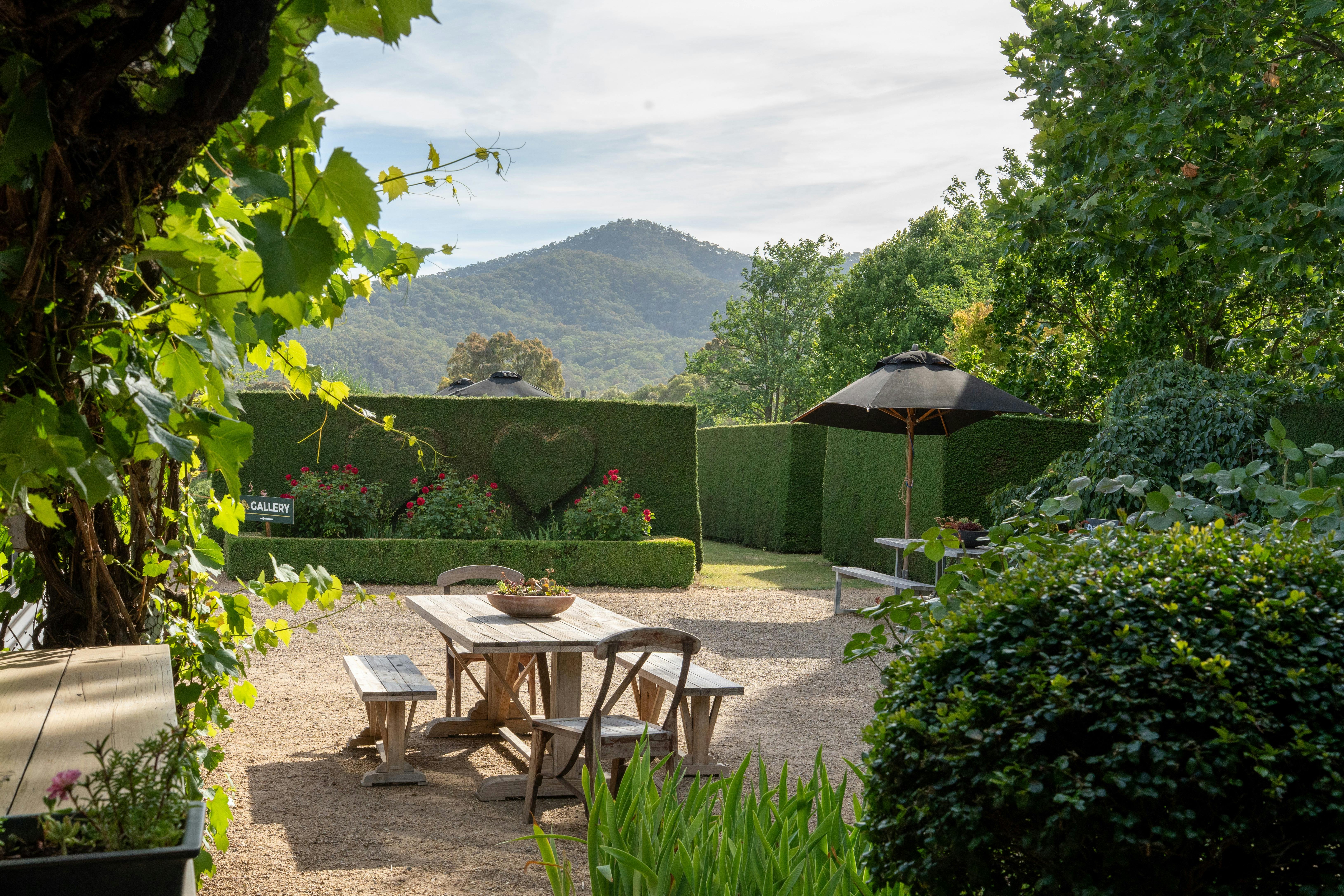 Our morning mountain view