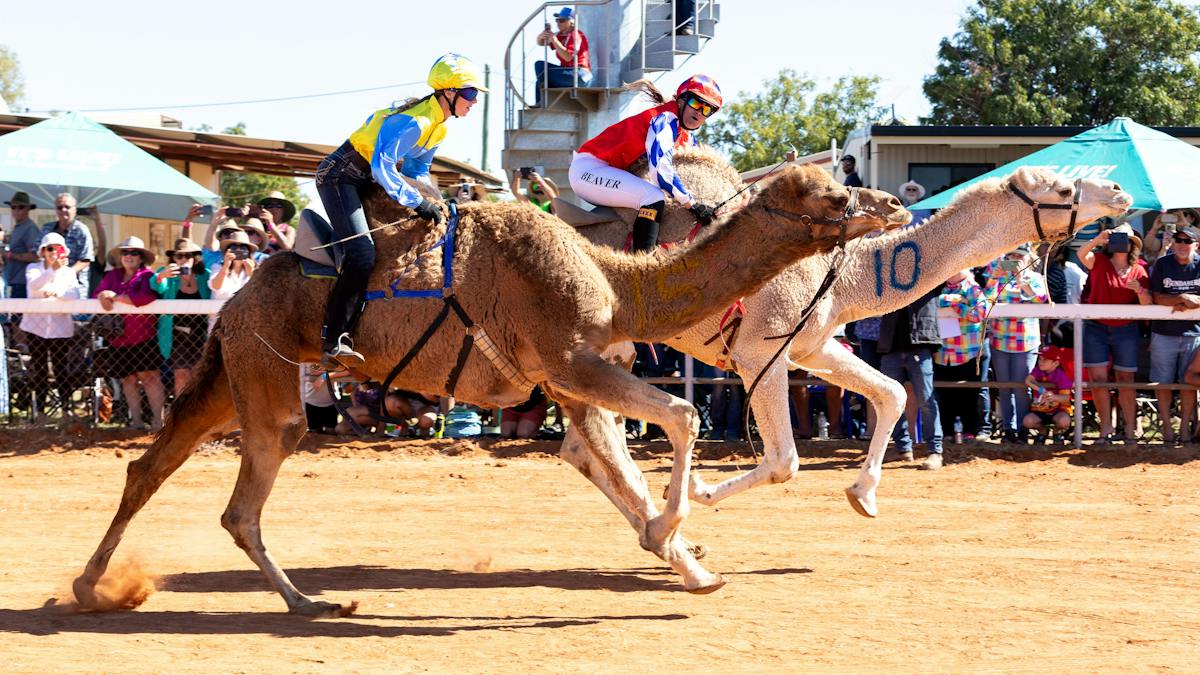 Boulia Camel Races | Events | Queensland
