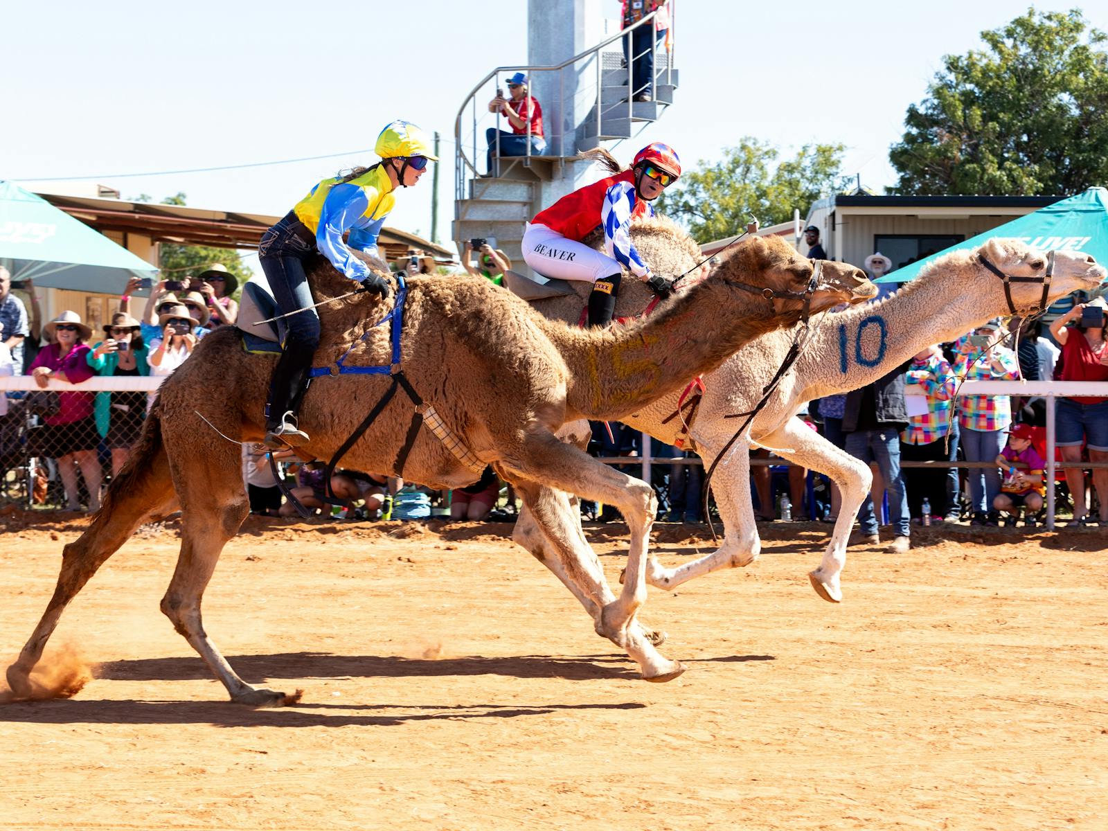 Image for Boulia Camel Races