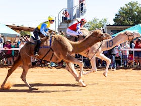 Boulia Camel Races Cover Image