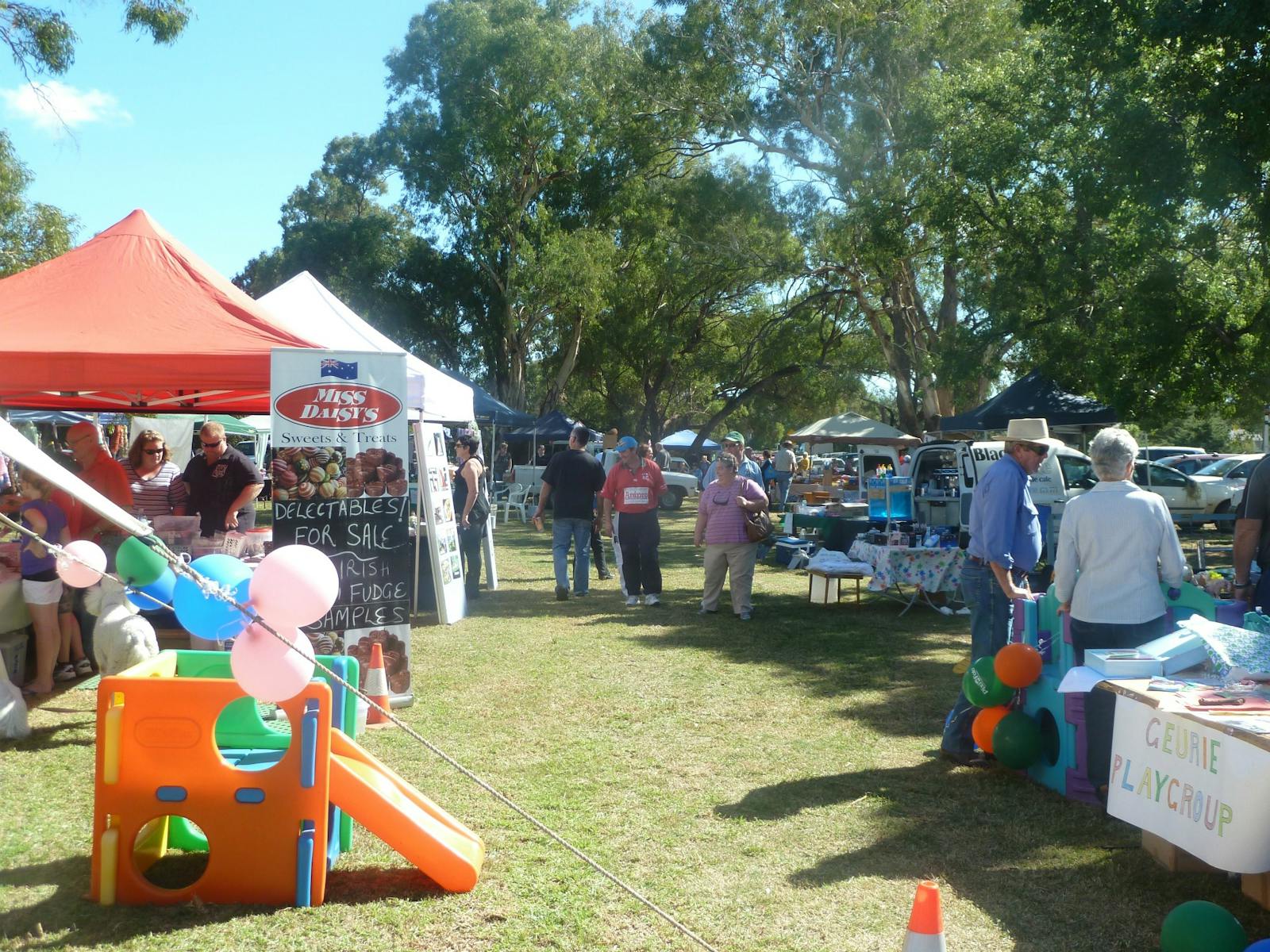 Image for Geurie Lions Markets