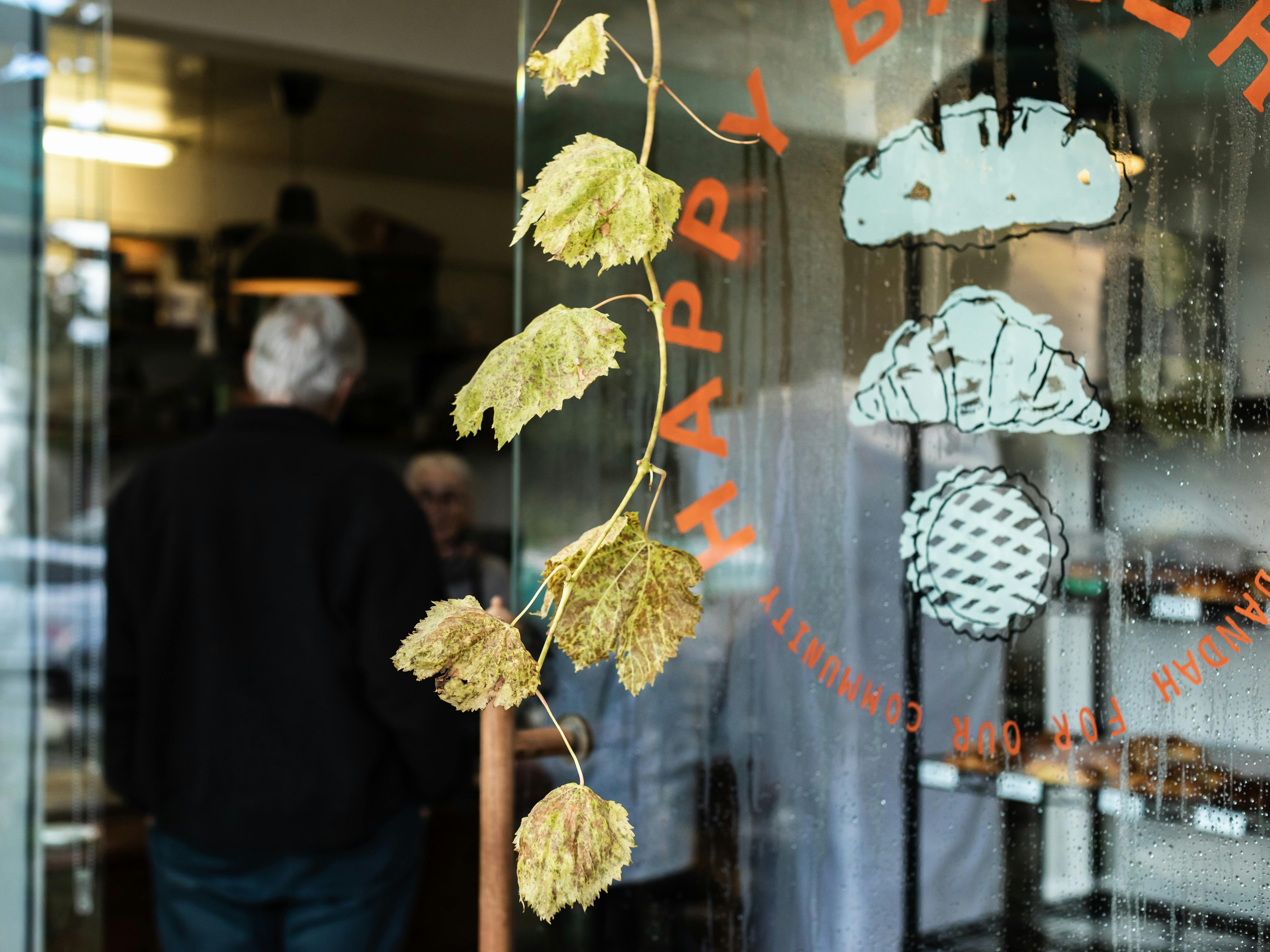 exterior of the cafe