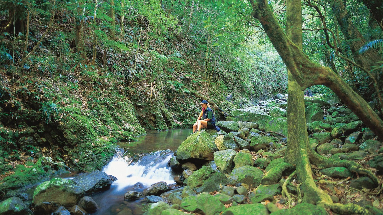 Binna Burra, Lamington National Park