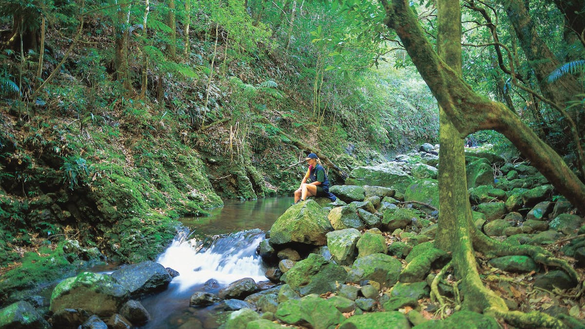 Girl sitting near creek surrounded by rainforest Lamington National Park