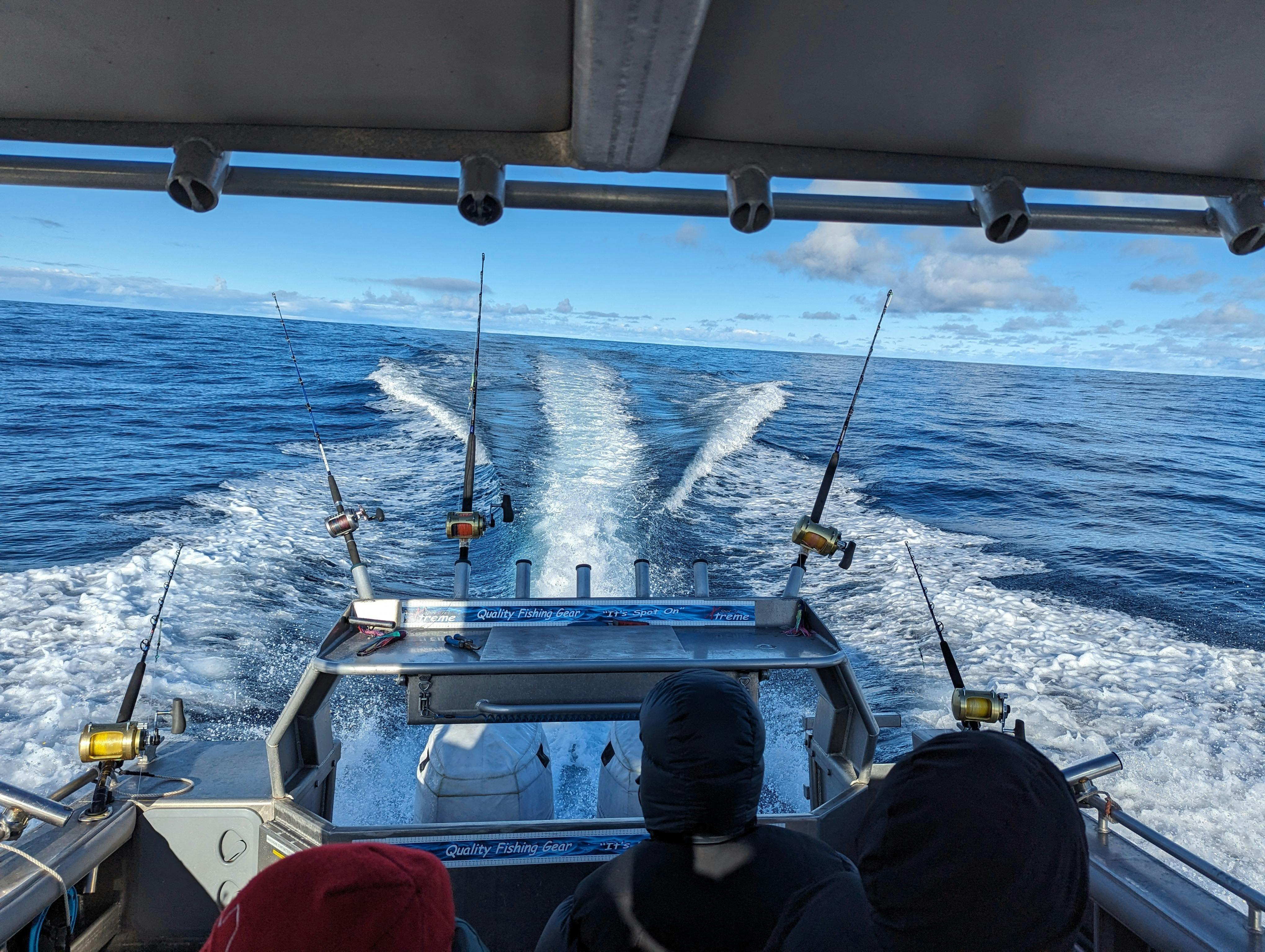 It's more than just a fishing trip; it's an immersion into the wonders of the ocean