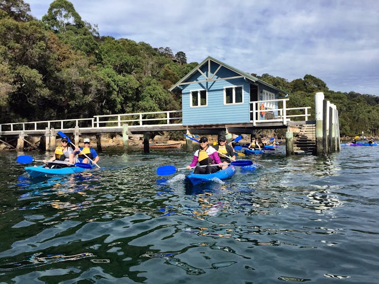 kayaking under the wharf on Pittwater