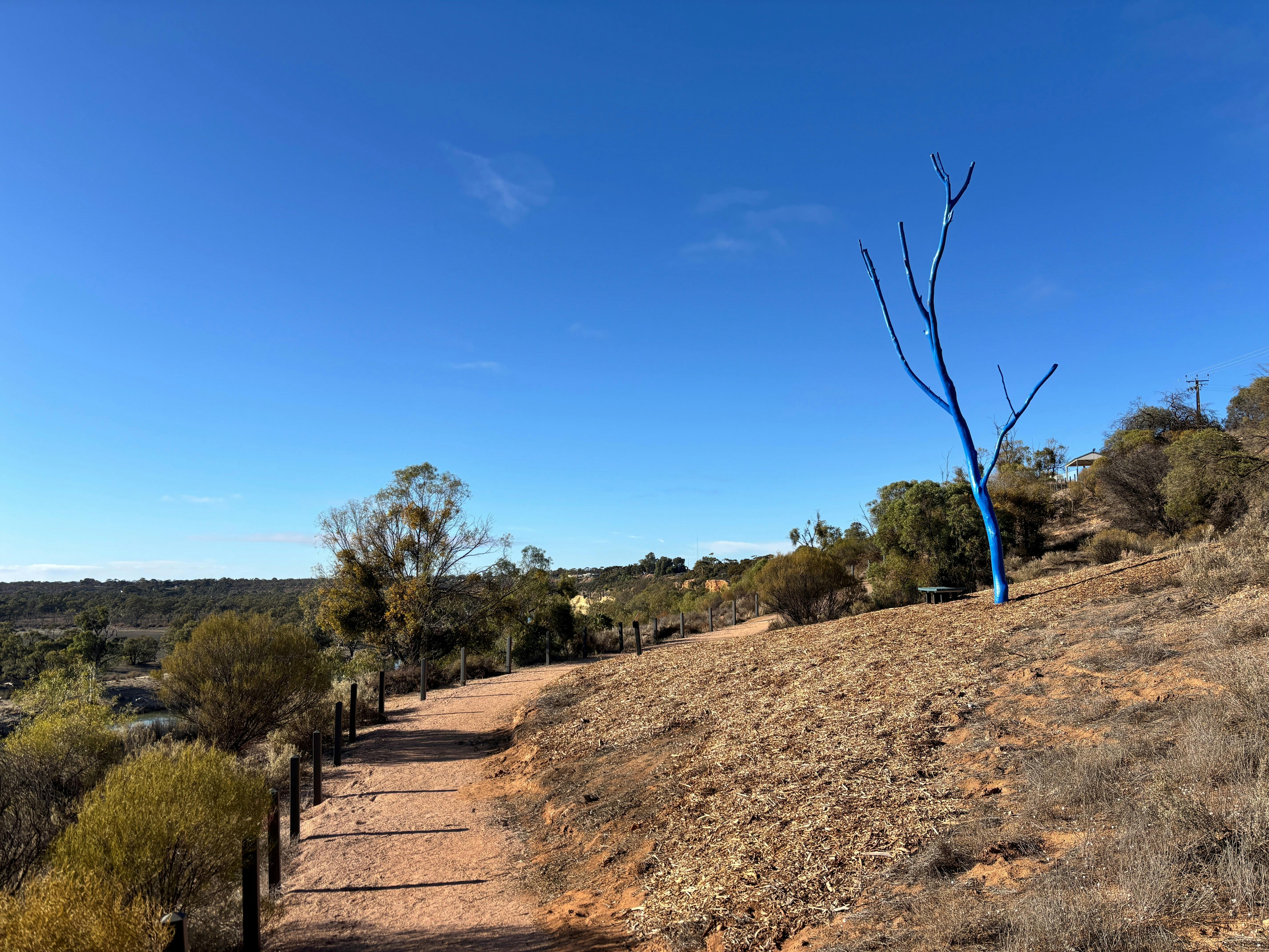 Mental Heath Awareness Blue Tree