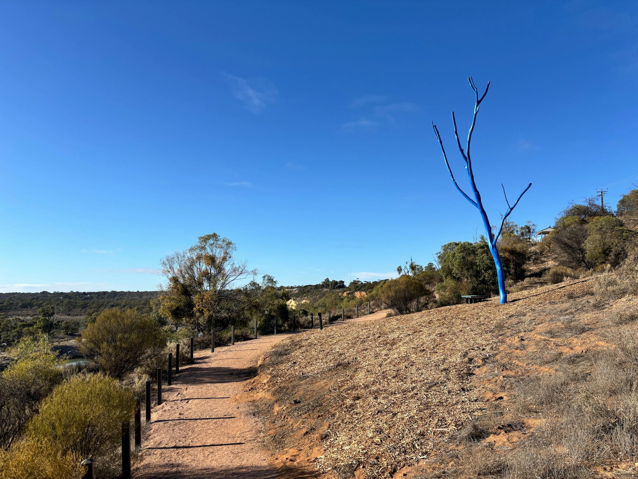 Mental Heath Awareness Blue Tree