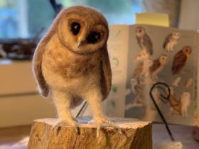 Introduction to Needle Felting at the Rare Trades Centre Cover Image