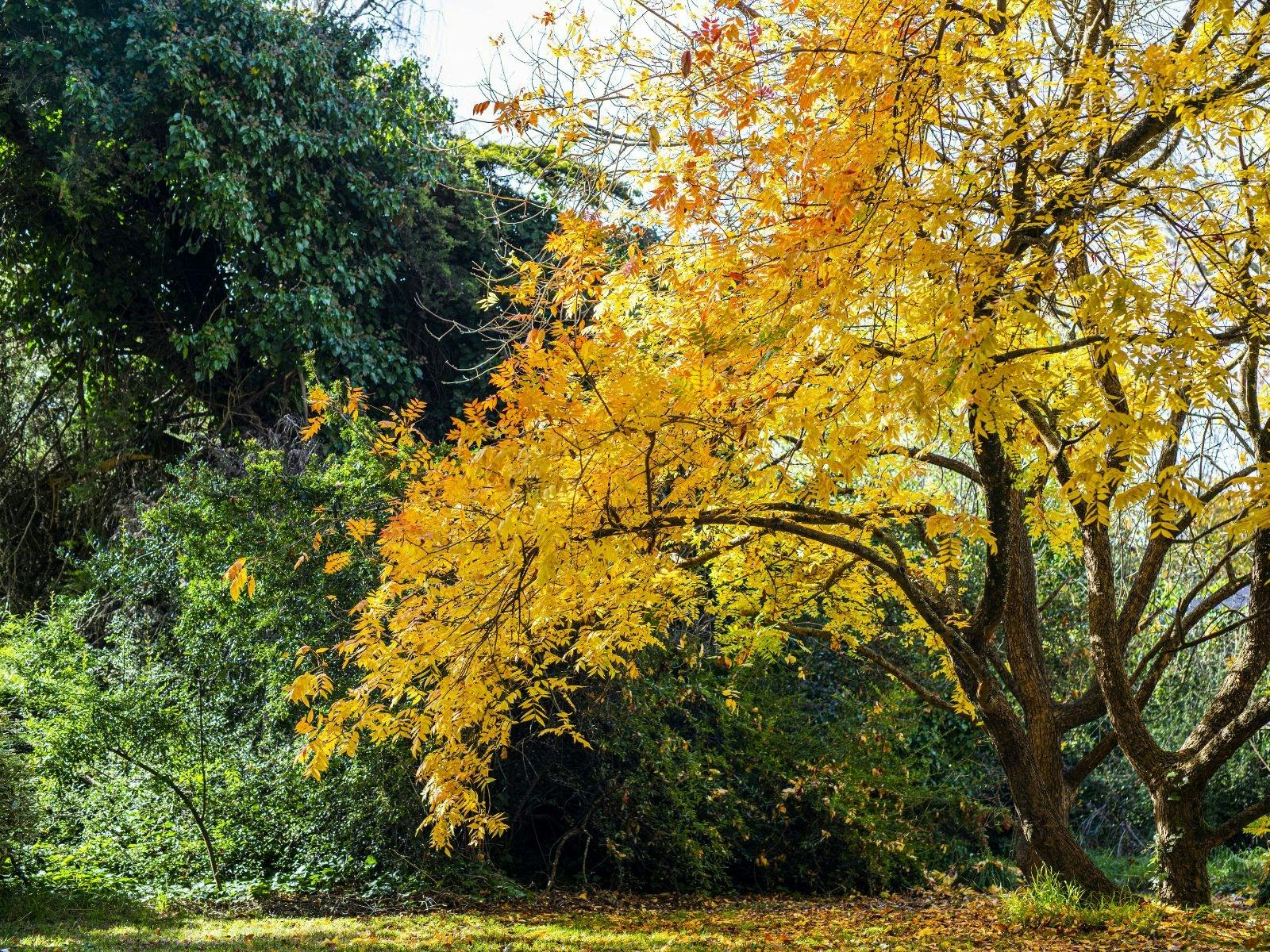 Hazelhome Estate garden venue