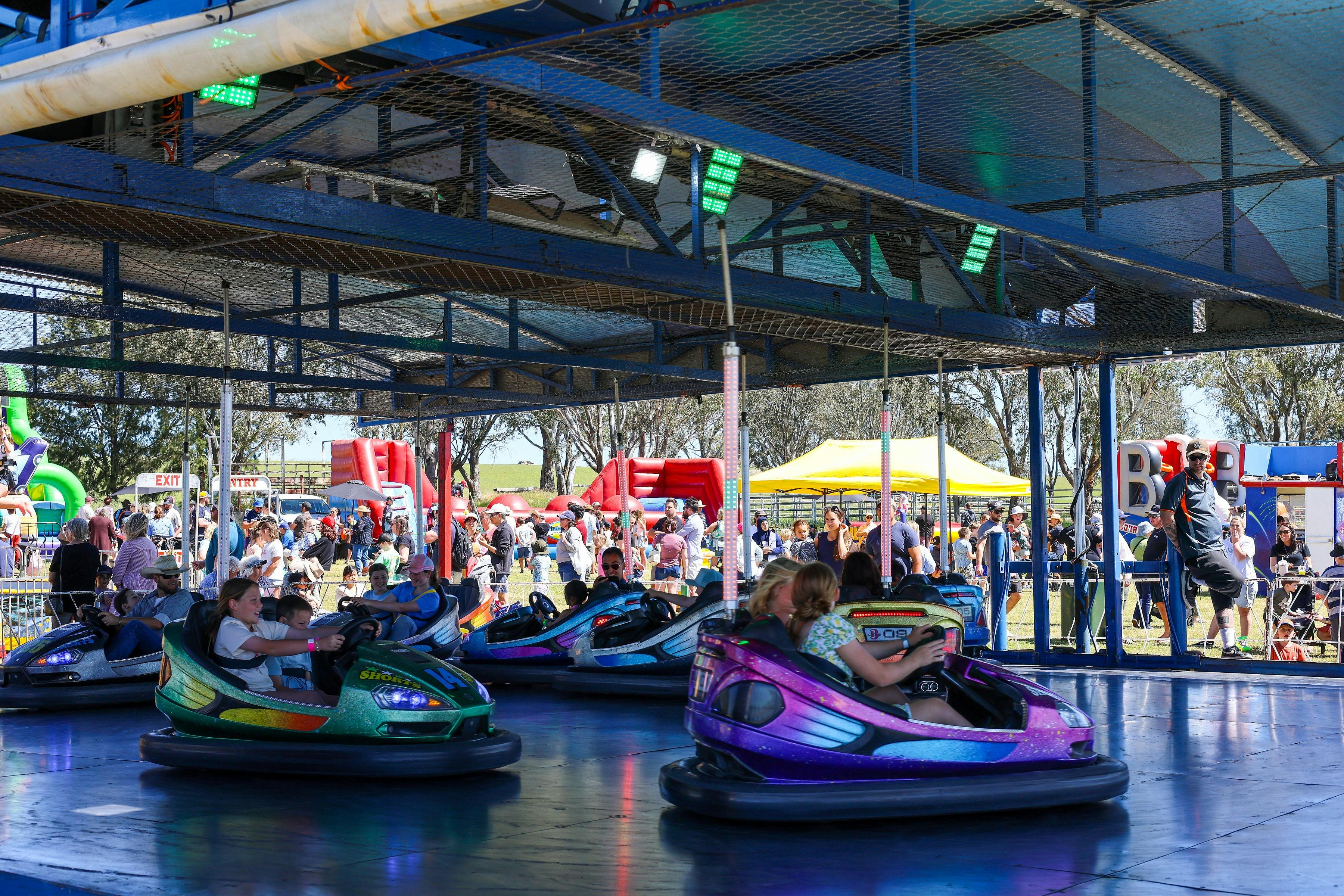 Dodgem cars at the festival.