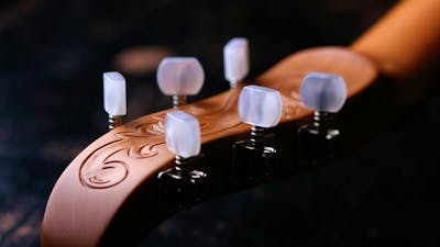 Close up of the neck of a violin