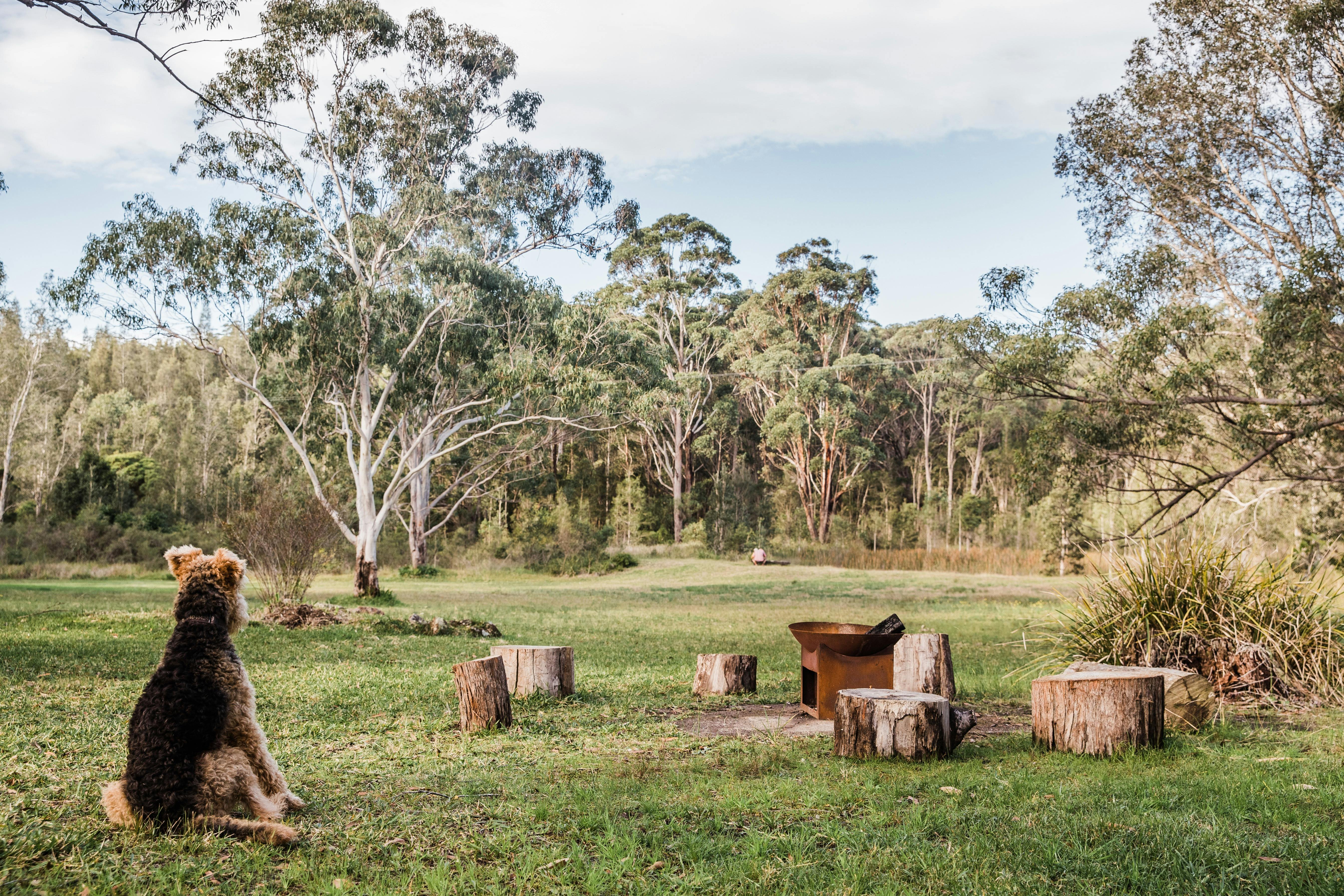 Warialda Bungwahl NSW Holidays & Things to Do