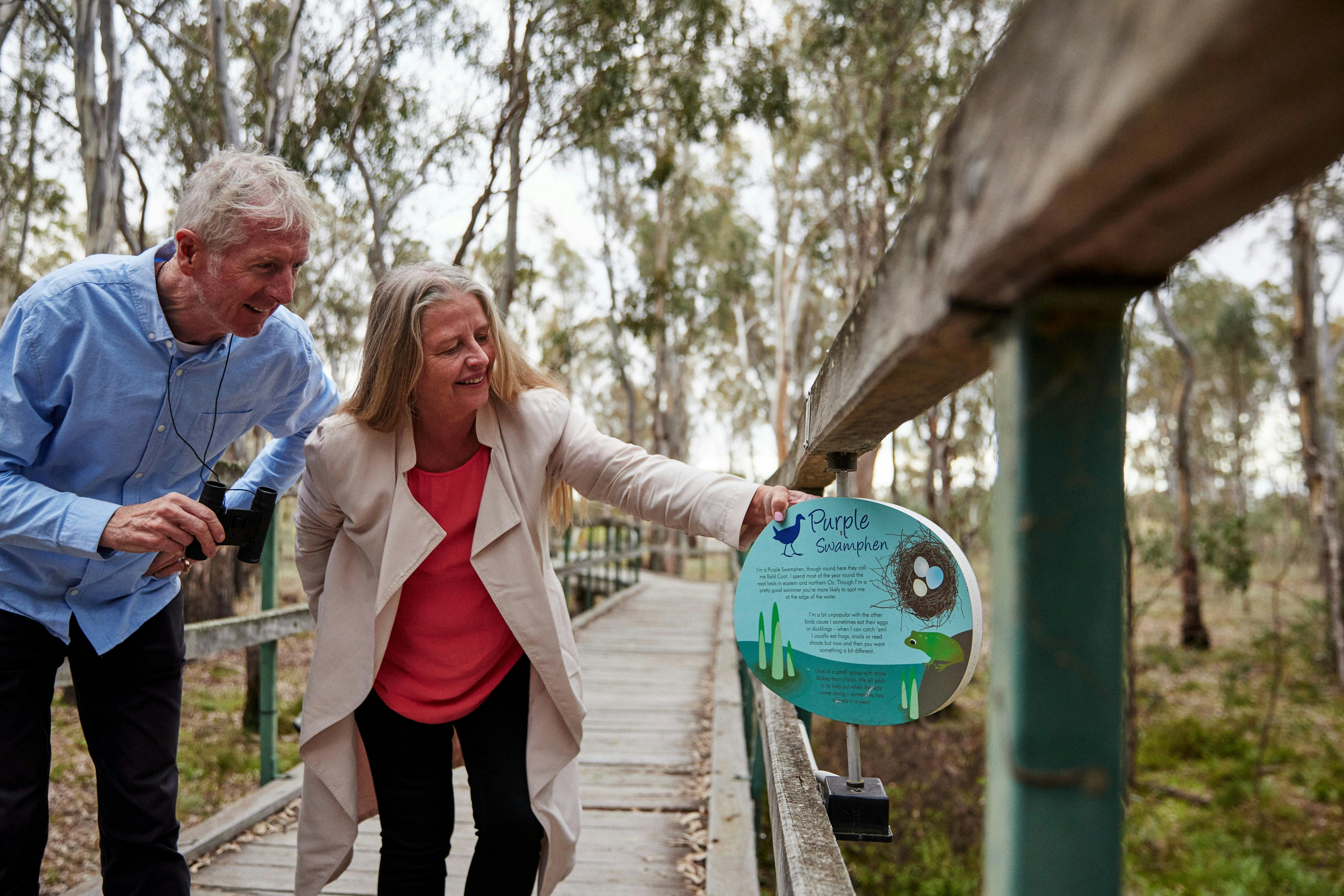 Reed Beds Bird Hide Boardwalk