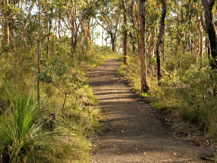 Tommos loop and Rocky Ponds cycling loop