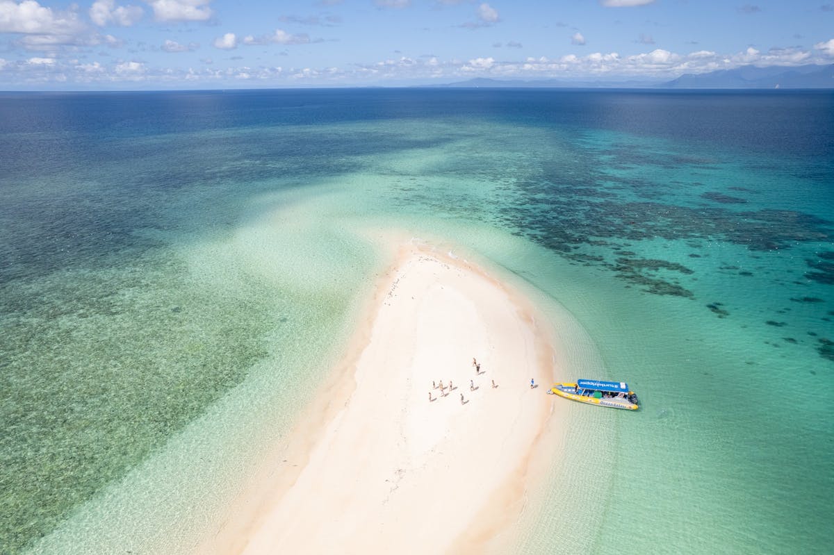 Ocean Safari