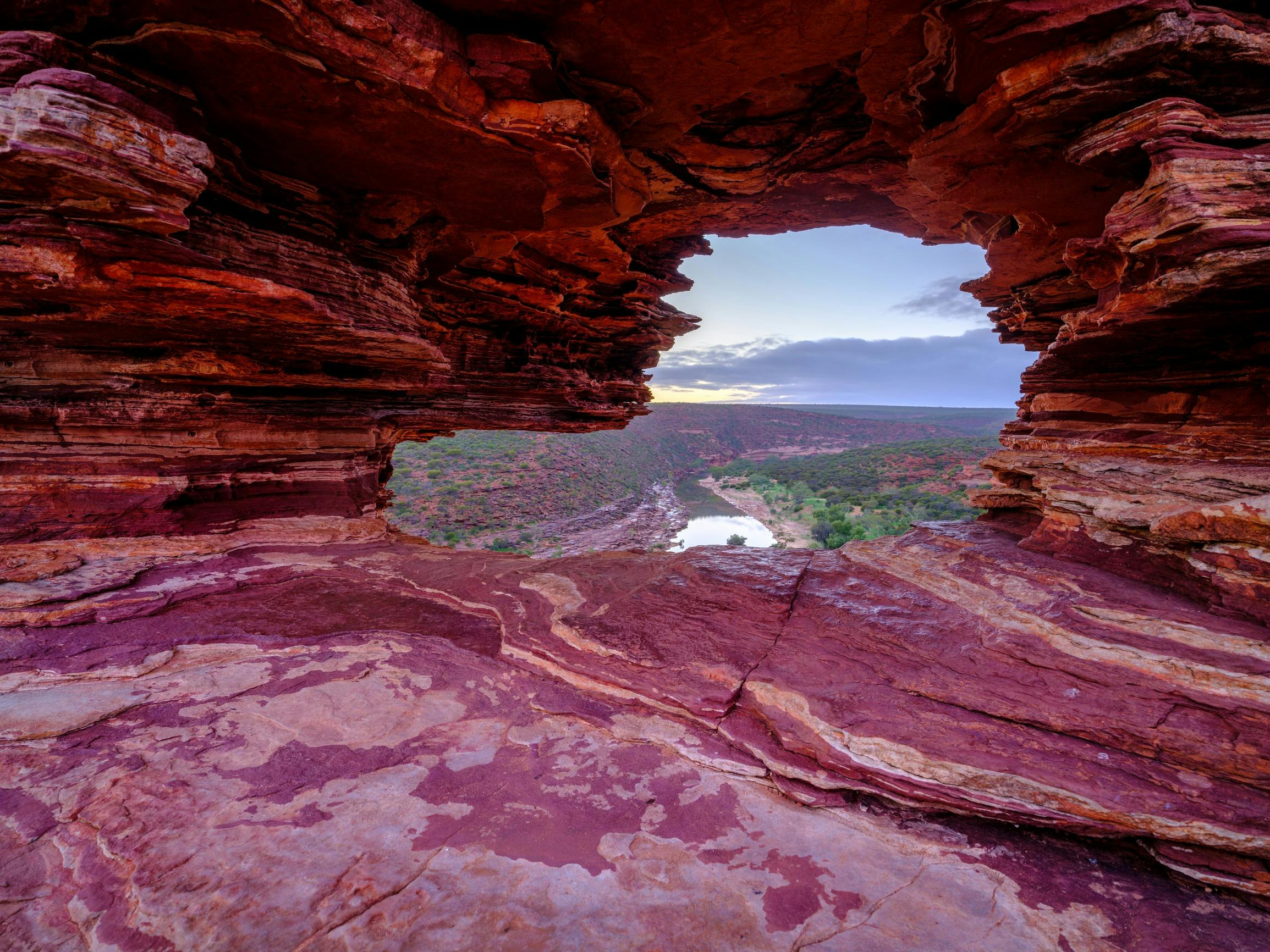 Nature's Window